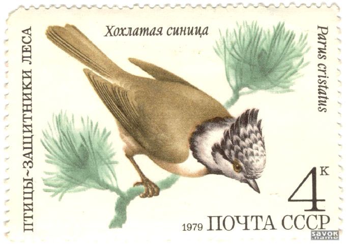 Почтовые марки СССР - фауна Почтовые марки СССР - фауна