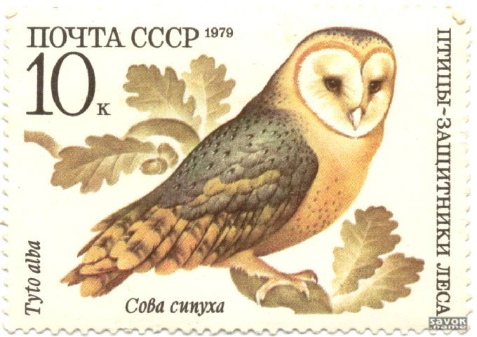 Почтовые марки СССР - фауна Почтовые марки СССР - фауна