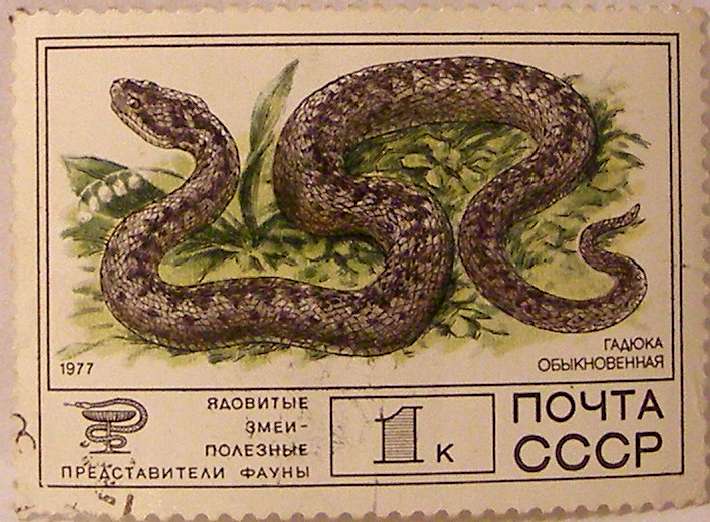 Почтовые марки СССР - фауна Почтовые марки СССР - фауна