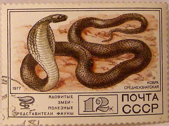 Почтовые марки СССР - фауна Почтовые марки СССР - фауна
