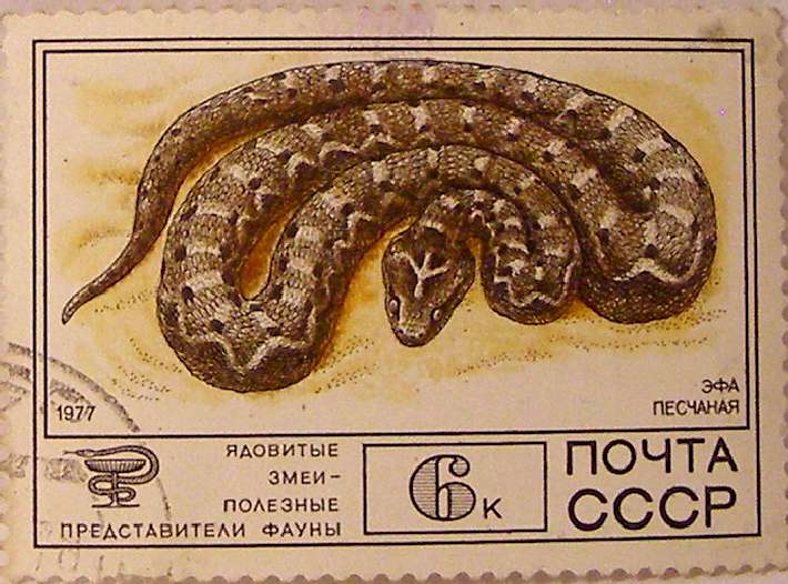 Почтовые марки СССР - фауна Почтовые марки СССР - фауна