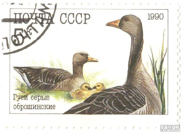 Почтовые марки СССР - фауна Почтовые марки СССР - фауна
