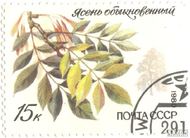 Почтовые марки СССР - флора Почтовые марки СССР - флора
