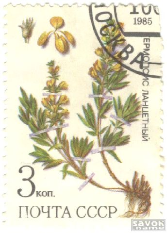 Почтовые марки СССР - флора Почтовые марки СССР - флора