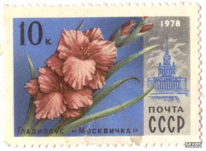 Почтовые марки СССР - флора Почтовые марки СССР - флора