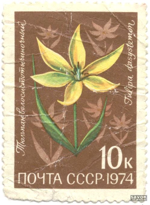Почтовые марки СССР - флора Почтовые марки СССР - флора