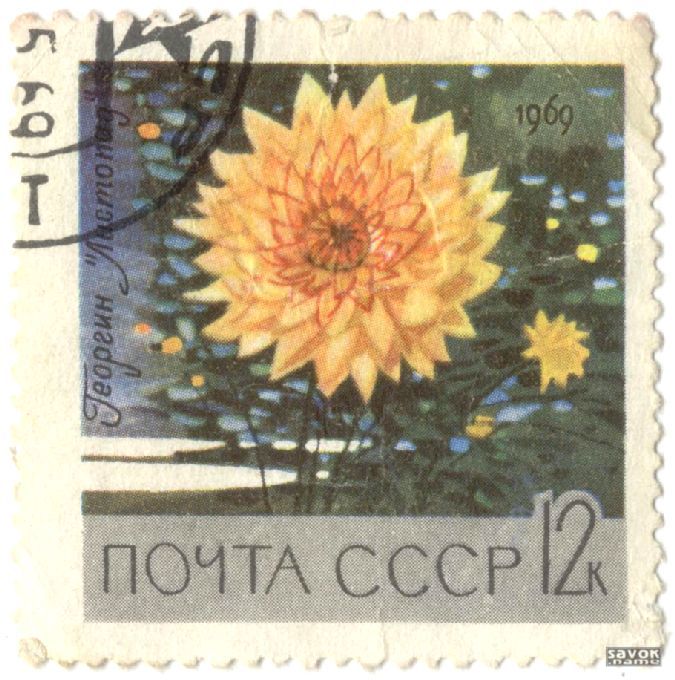 Почтовые марки СССР - флора Почтовые марки СССР - флора