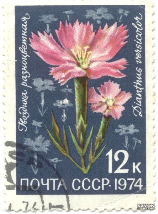 Почтовые марки СССР - флора Почтовые марки СССР - флора