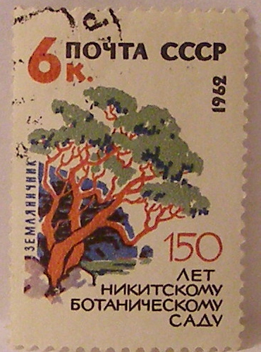 Почтовые марки СССР - флора Почтовые марки СССР - флора