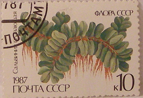 Почтовые марки СССР - флора Почтовые марки СССР - флора
