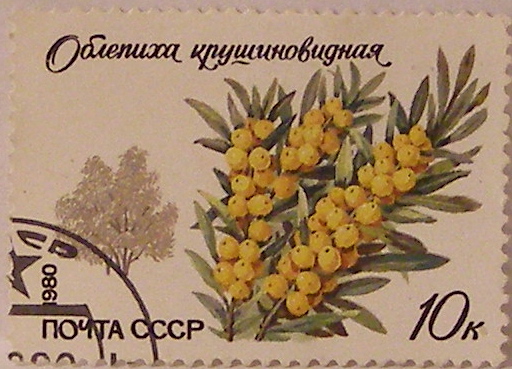 Почтовые марки СССР - флора Почтовые марки СССР - флора