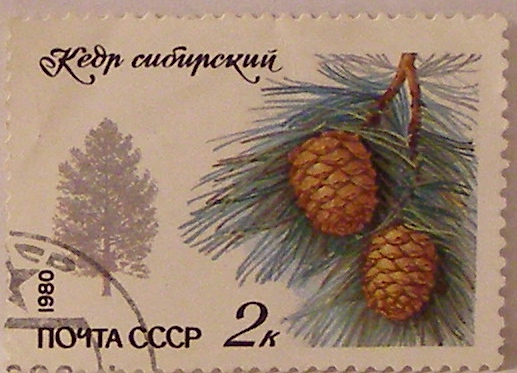 Почтовые марки СССР - флора Почтовые марки СССР - флора