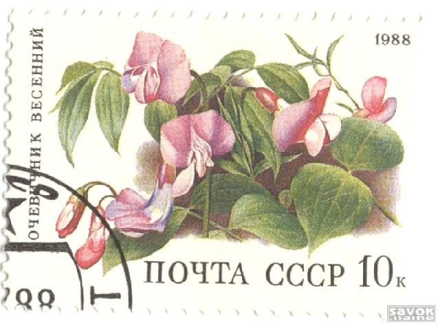 Почтовые марки СССР - флора Почтовые марки СССР - флора