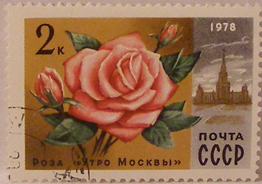 Почтовые марки СССР - флора Почтовые марки СССР - флора