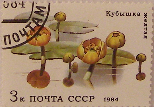 Почтовые марки СССР - флора Почтовые марки СССР - флора