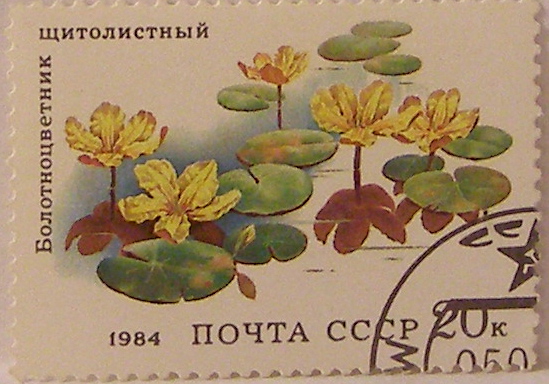 Почтовые марки СССР - флора Почтовые марки СССР - флора