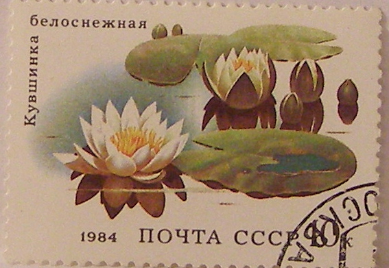 Почтовые марки СССР - флора Почтовые марки СССР - флора