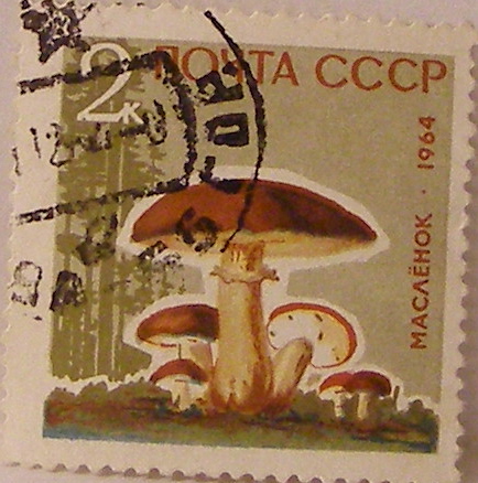 Почтовые марки СССР - флора Почтовые марки СССР - флора