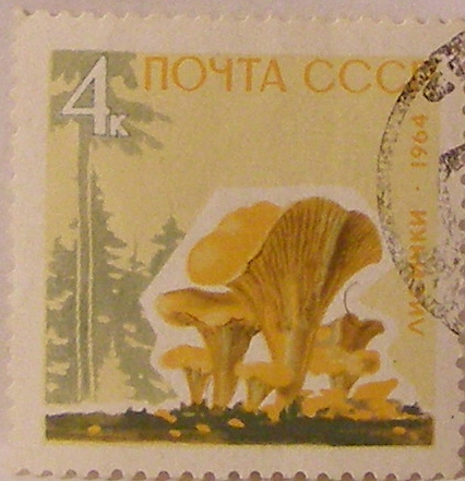 Почтовые марки СССР - флора Почтовые марки СССР - флора