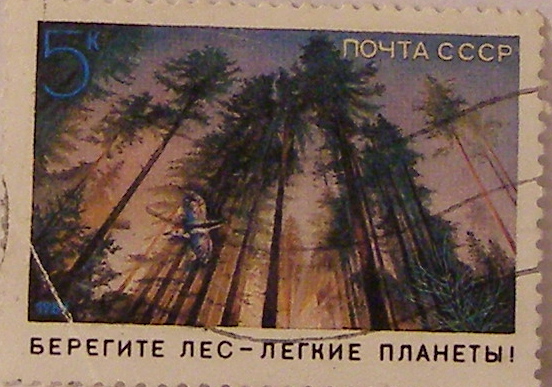 Почтовые марки СССР - флора Почтовые марки СССР - флора