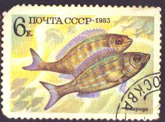 Почтовые марки СССР - разное Почтовые марки СССР - разное