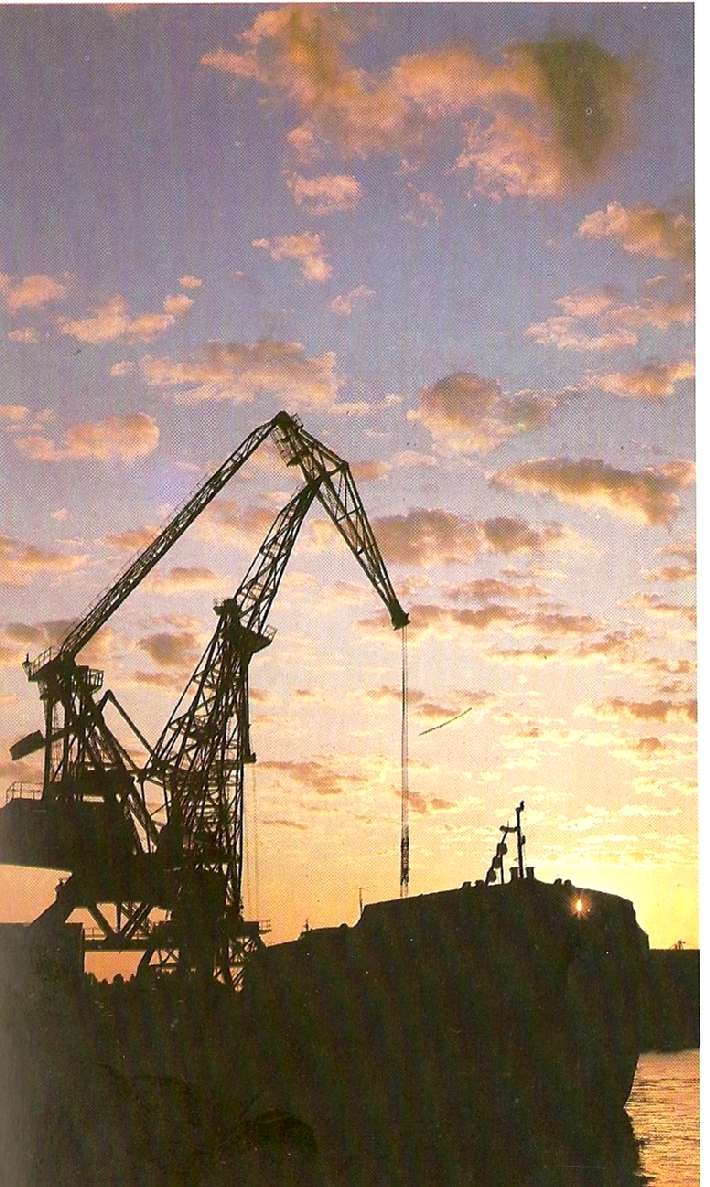 ������ 1985 ���.