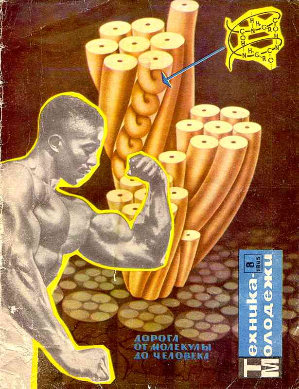 Сборник обложек журналов "Техника Молодёжи" 1936-1990 год Сборник обложек журналов "Техника Молодёжи" 1936-1990 год